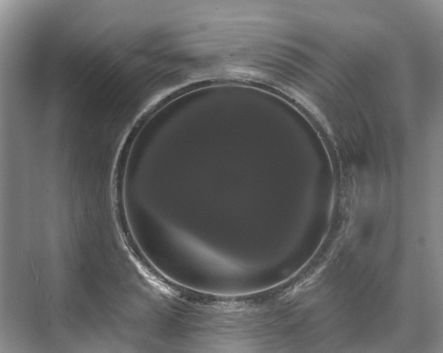 X0000073401037200608040922