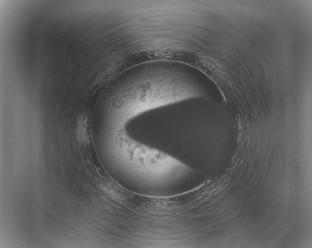 X0000073401060200608040921