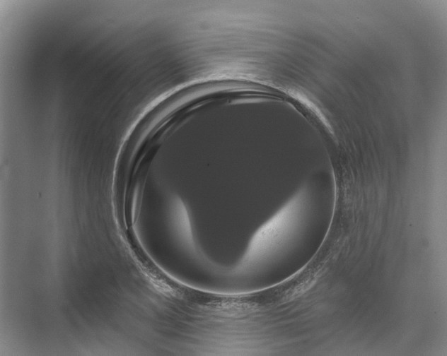 X0000073401077200608040921