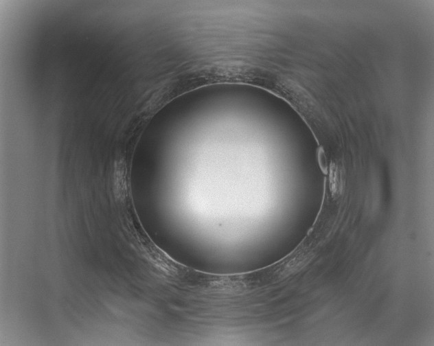 X0000073401107200608040920