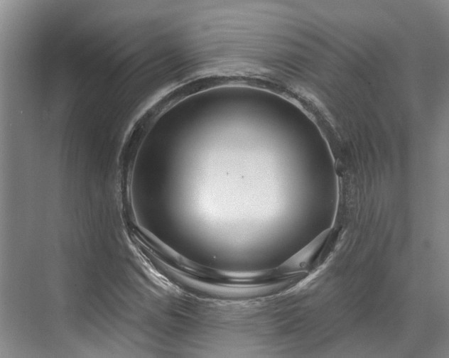 X0000073401114200608040920