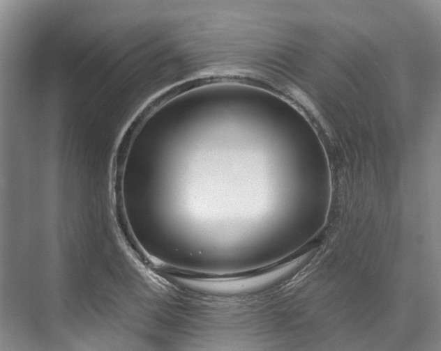 X0000073401124200608040920