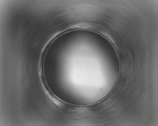 X0000073401131200608040920