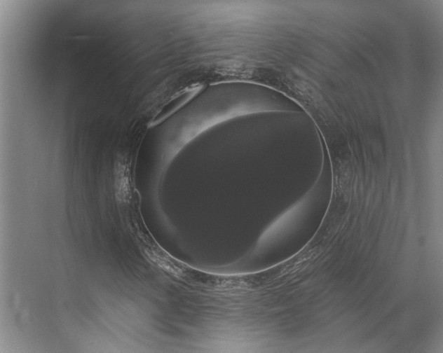 X0000073401154200608040919