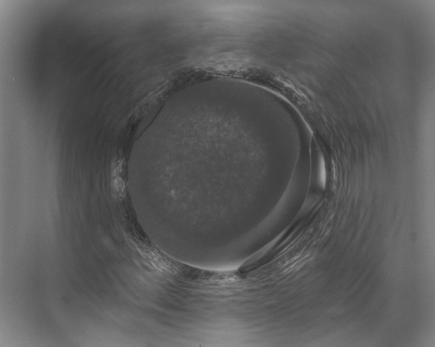 X0000073401156200608040919