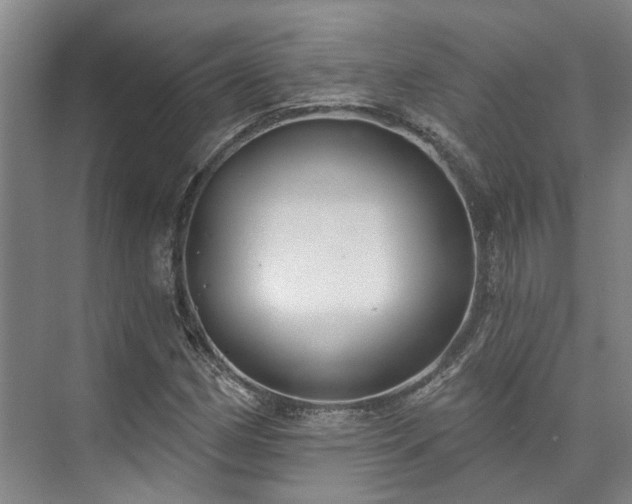 X0000073401162200608040919