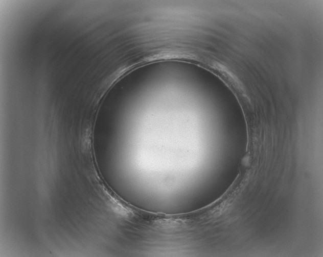 X0000073401185200608040919