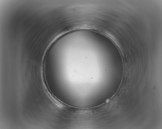 X0000073401187200608040919