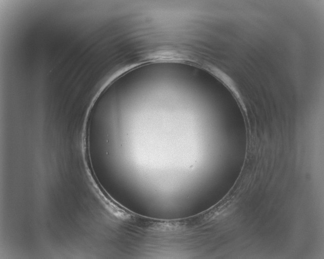 X0000073401195200608040919