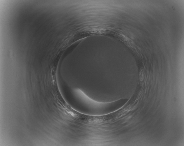 X0000073401202200608040918