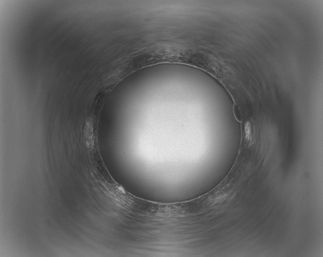 X0000073401203200608040918