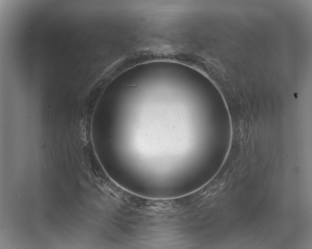 X0000073401205200608040918