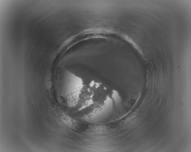 X0000073401213200608040918