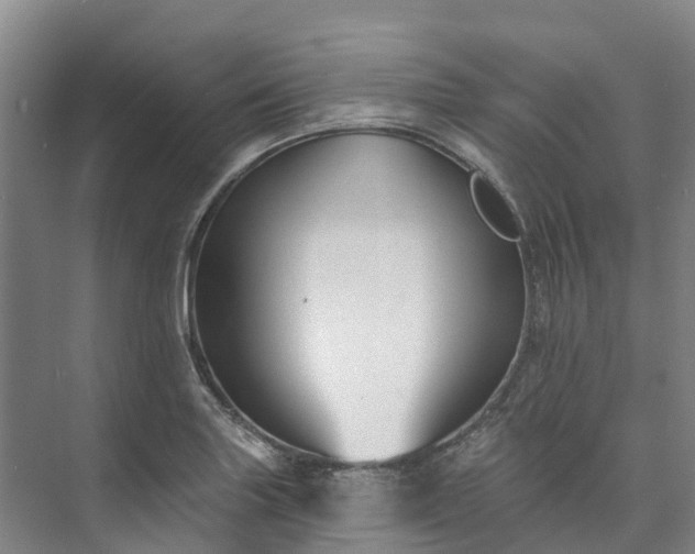 X0000073401227200608040918