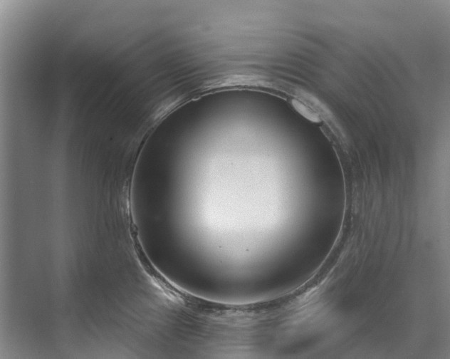 X0000073401241200608040919