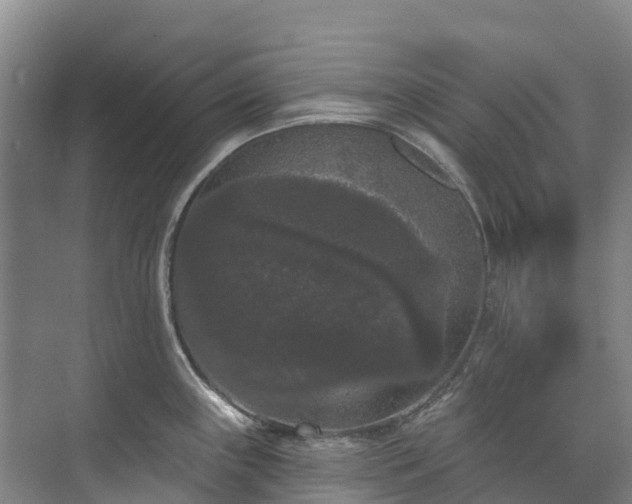 X0000073401243200608040919