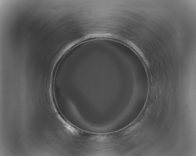 X0000073401245200608040919