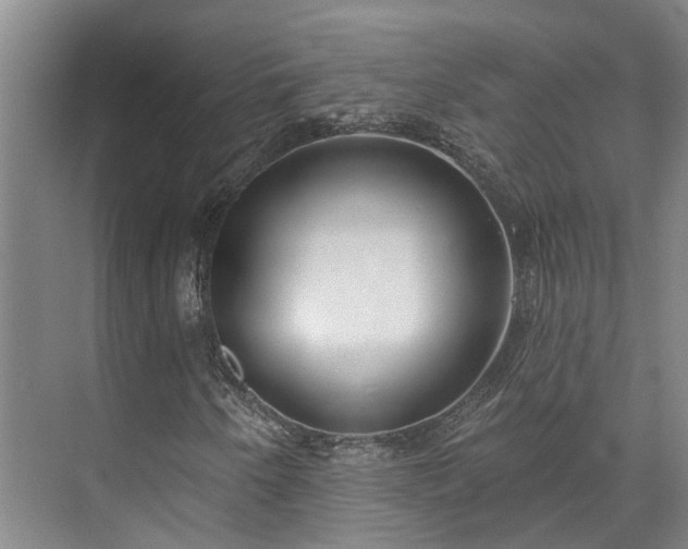 X0000073401250200608040918
