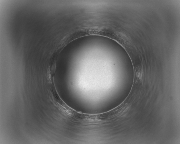 X0000073401252200608040918