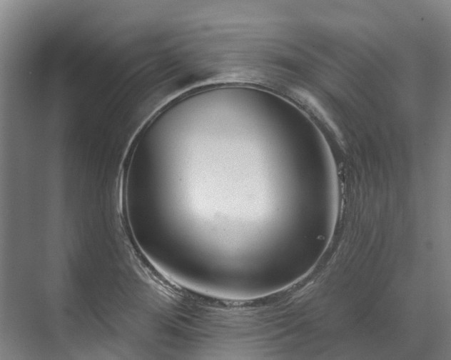 X0000073401276200608040917