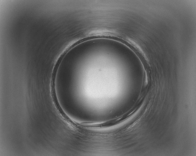 X0000073401277200608040917