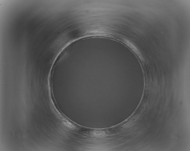 X0000073401291200608040917