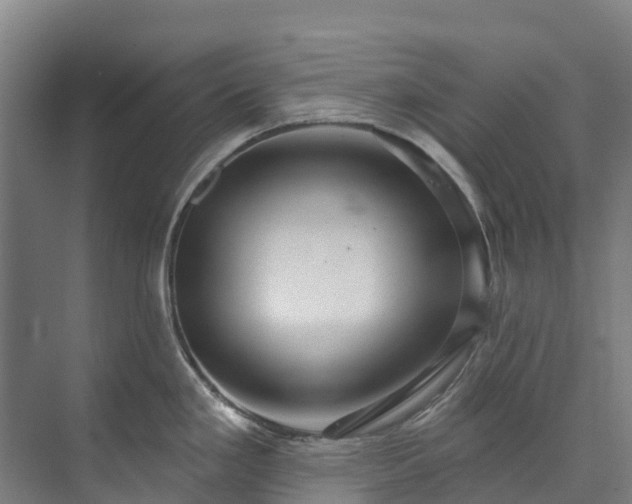 X0000073401293200608040917
