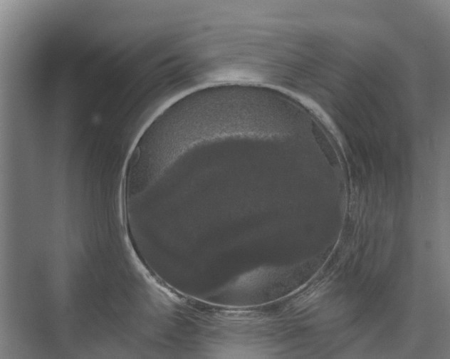 X0000073401295200608040917