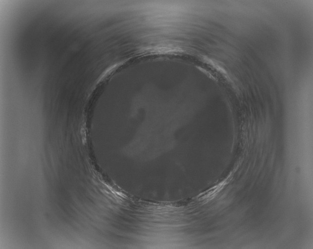 X0000073401306200608040916