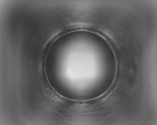 X0000073401309200608040916