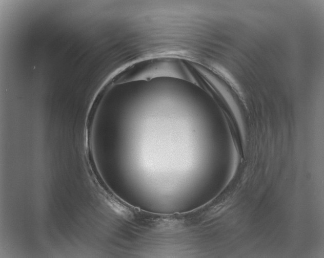 X0000073401324200608040917