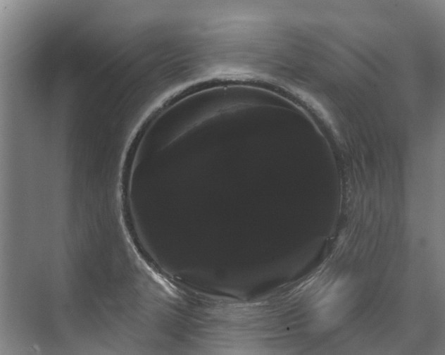 X0000073401327200608040917