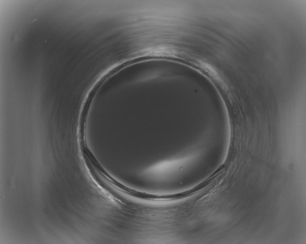 X0000073401331200608040917