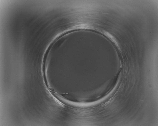 X0000073401334200608040917