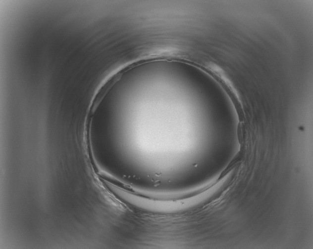 X0000073401336200608040917