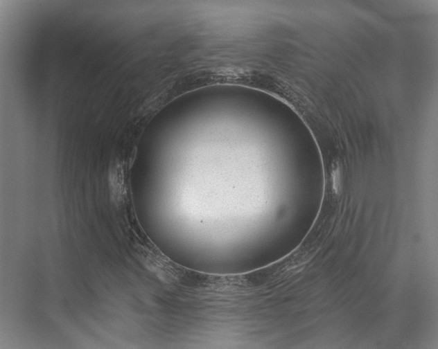 X0000073401347200608040916