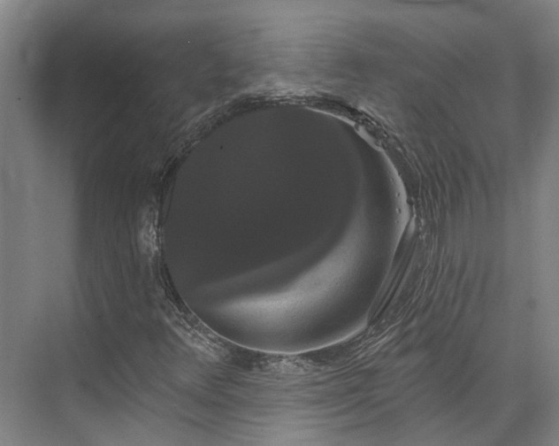 X0000073401348200608040916