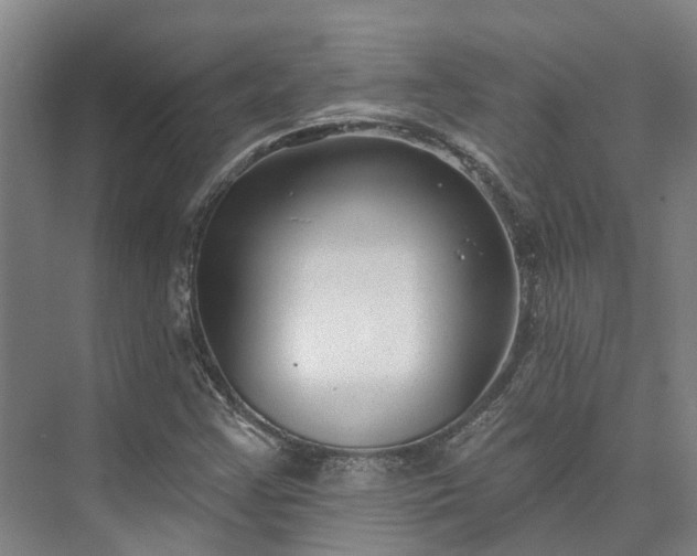 X0000073401355200608040916