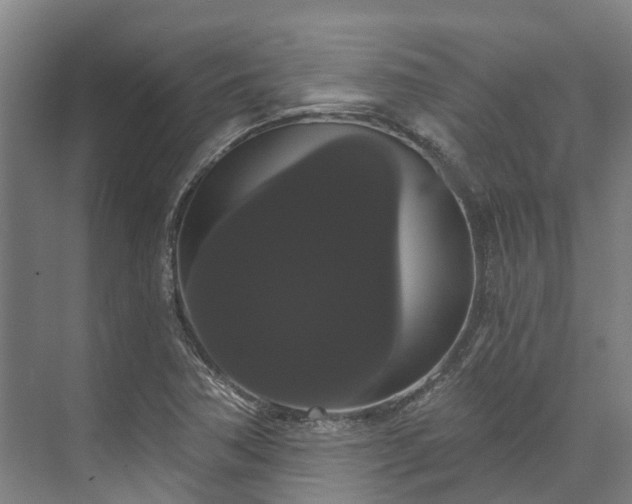 X0000073401362200608040916