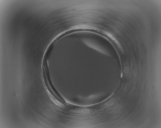 X0000073401372200608040916