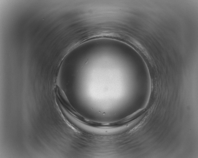 X0000073401377200608040916