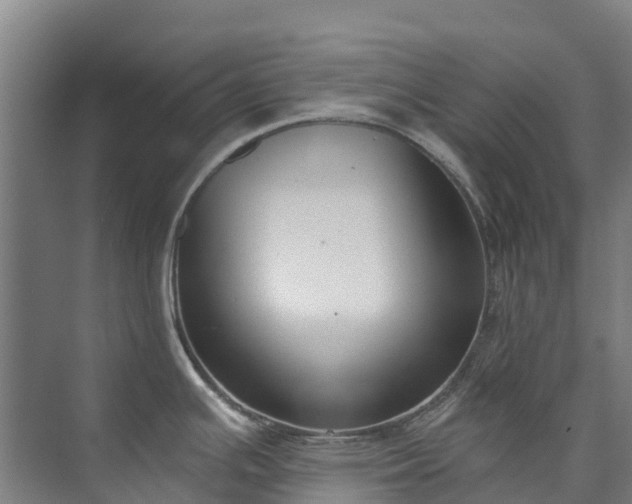 X0000073401391200608040915