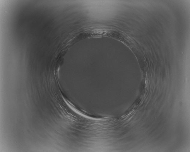 X0000073401394200608040915