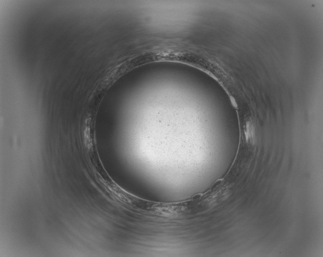 X0000073401396200608040915