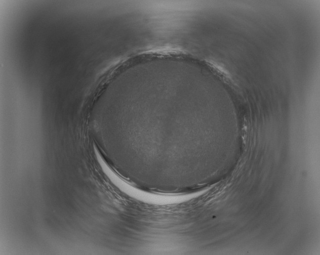 X0000073401398200608040915