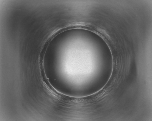 X0000073401404200608040915