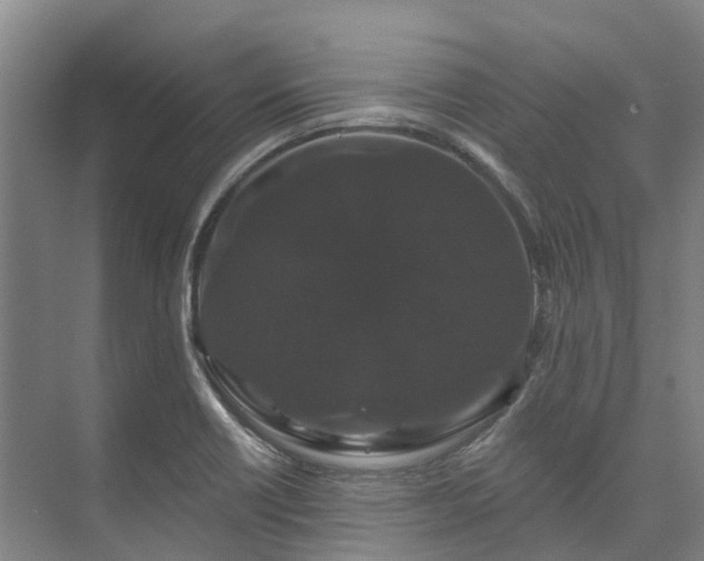 X0000073401418200608040915