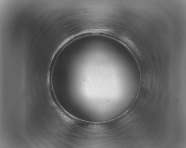 X0000073401420200608040915
