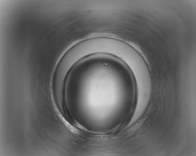 X0000073401438200608040915