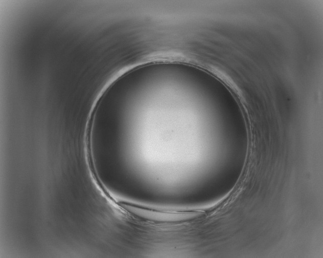 X0000073401440200608040915